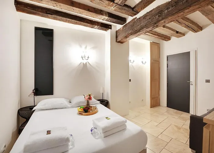 Cmg - Notre Dame De Appartement Paris